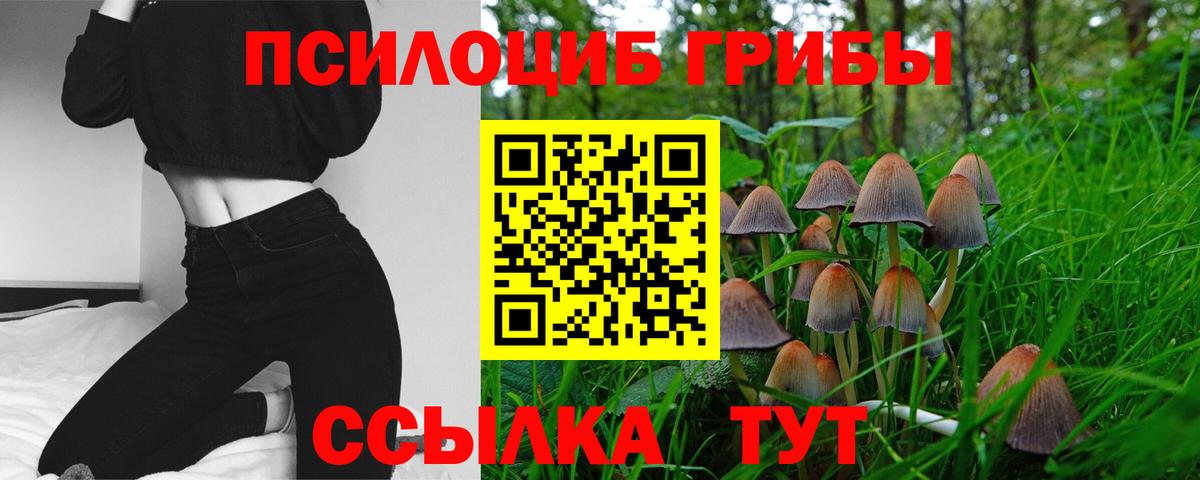 Псилоцибиновые грибы мухоморы  Вход с VPN  Псилоцибиновые грибы ЛСД  Жигулёвск 